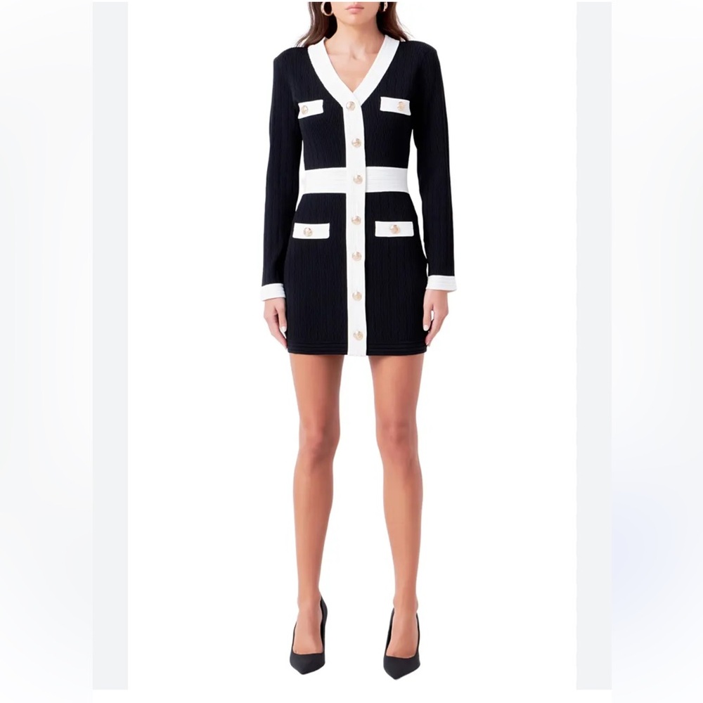 Endless Rose Black and White Mini Dress